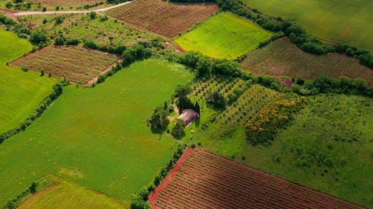 Terrain d’agrément